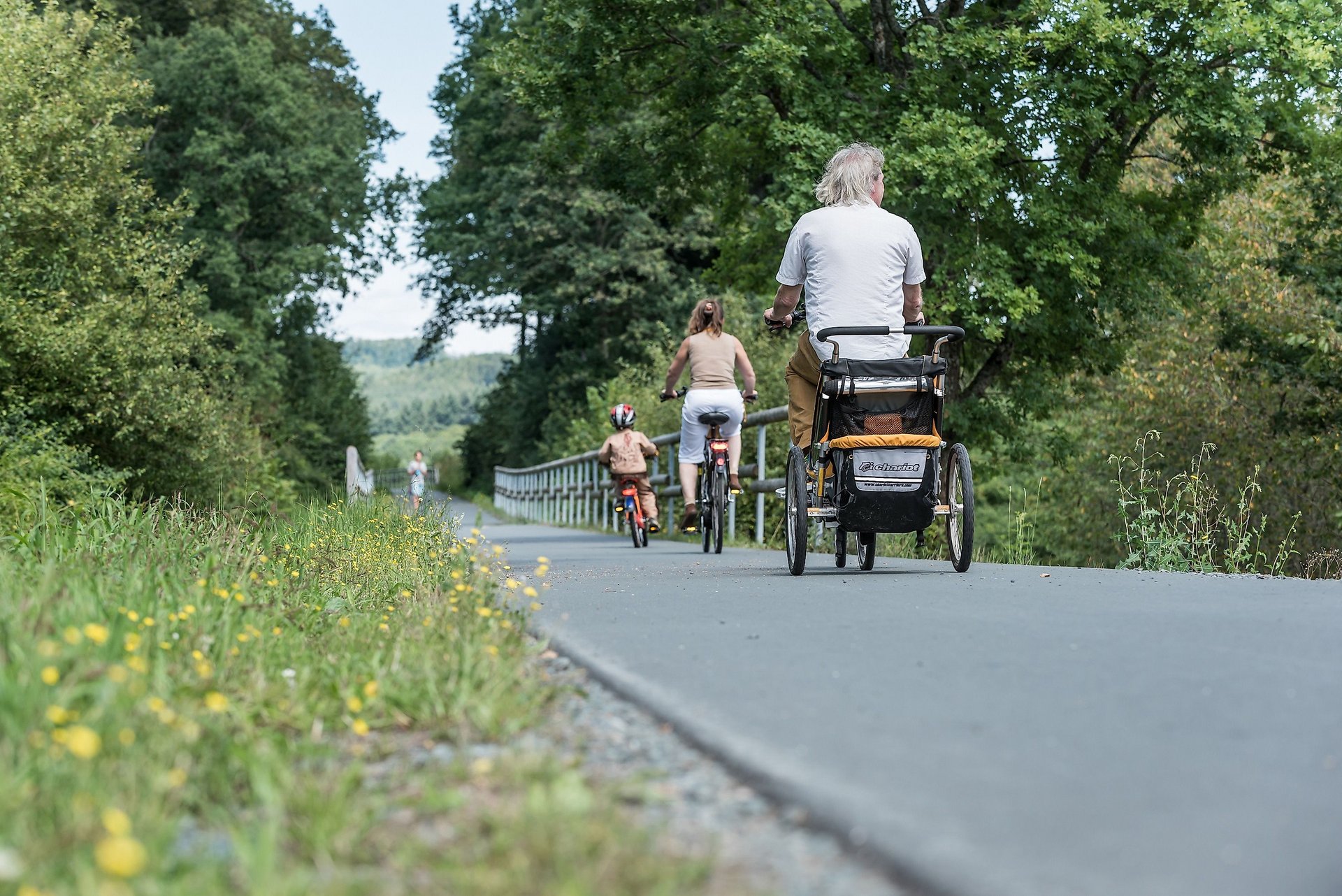 Ulmtalradweg