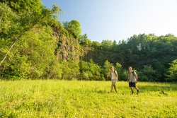 Basaltwand in der Bacher Lay