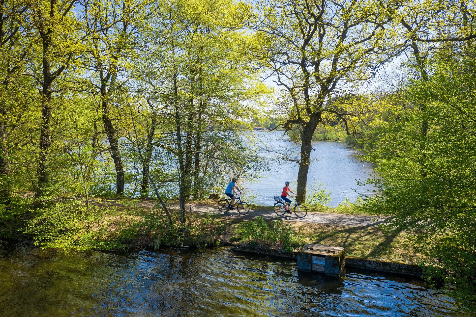 Brinkenweiher/Postweiher bei Steinen