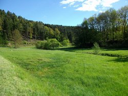 Birnbachtal bei Hemmelzen