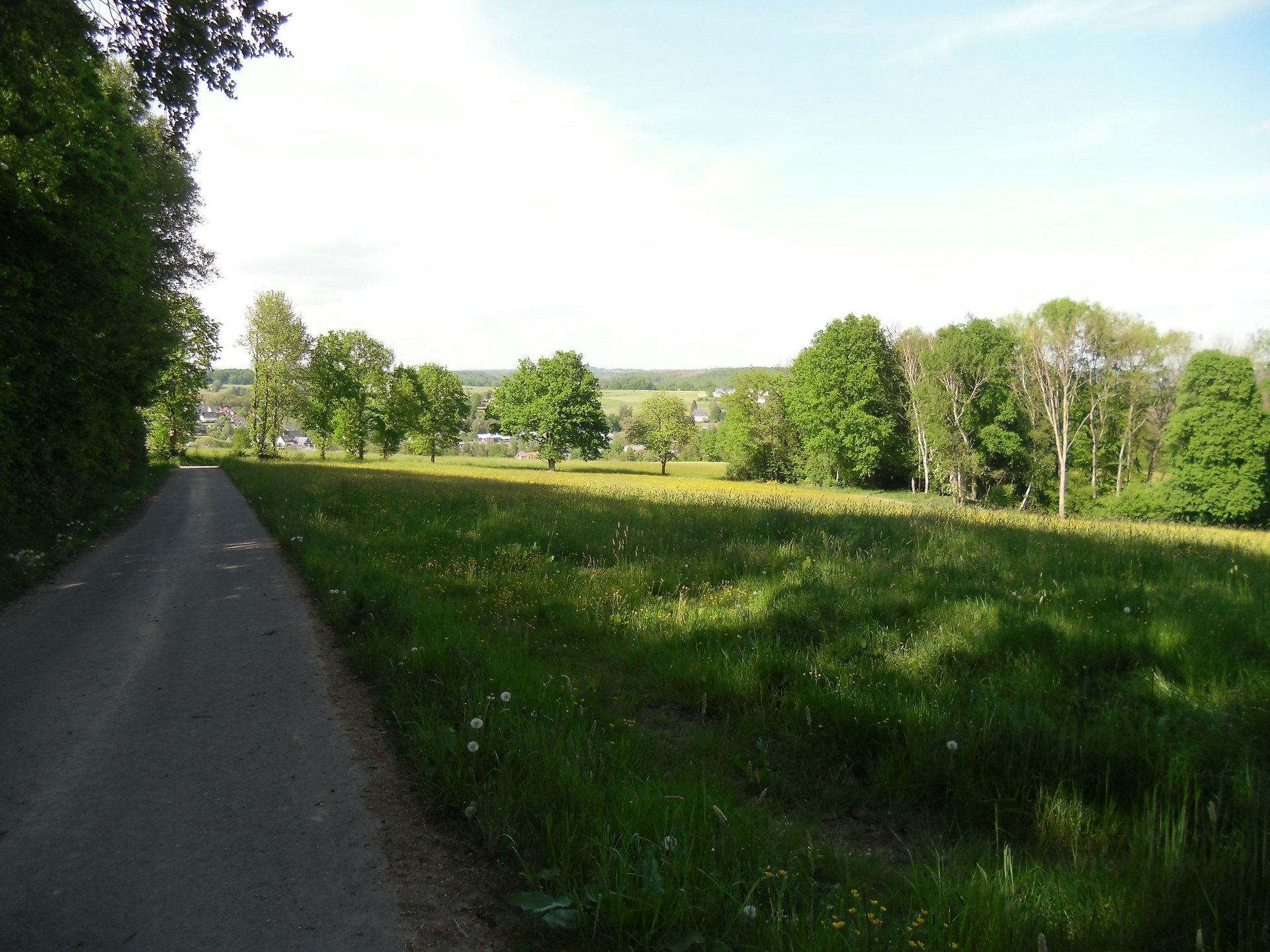 Blick hinab ins Wiedtal bei Neitersen