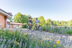 Radfahrer am Wiesensee