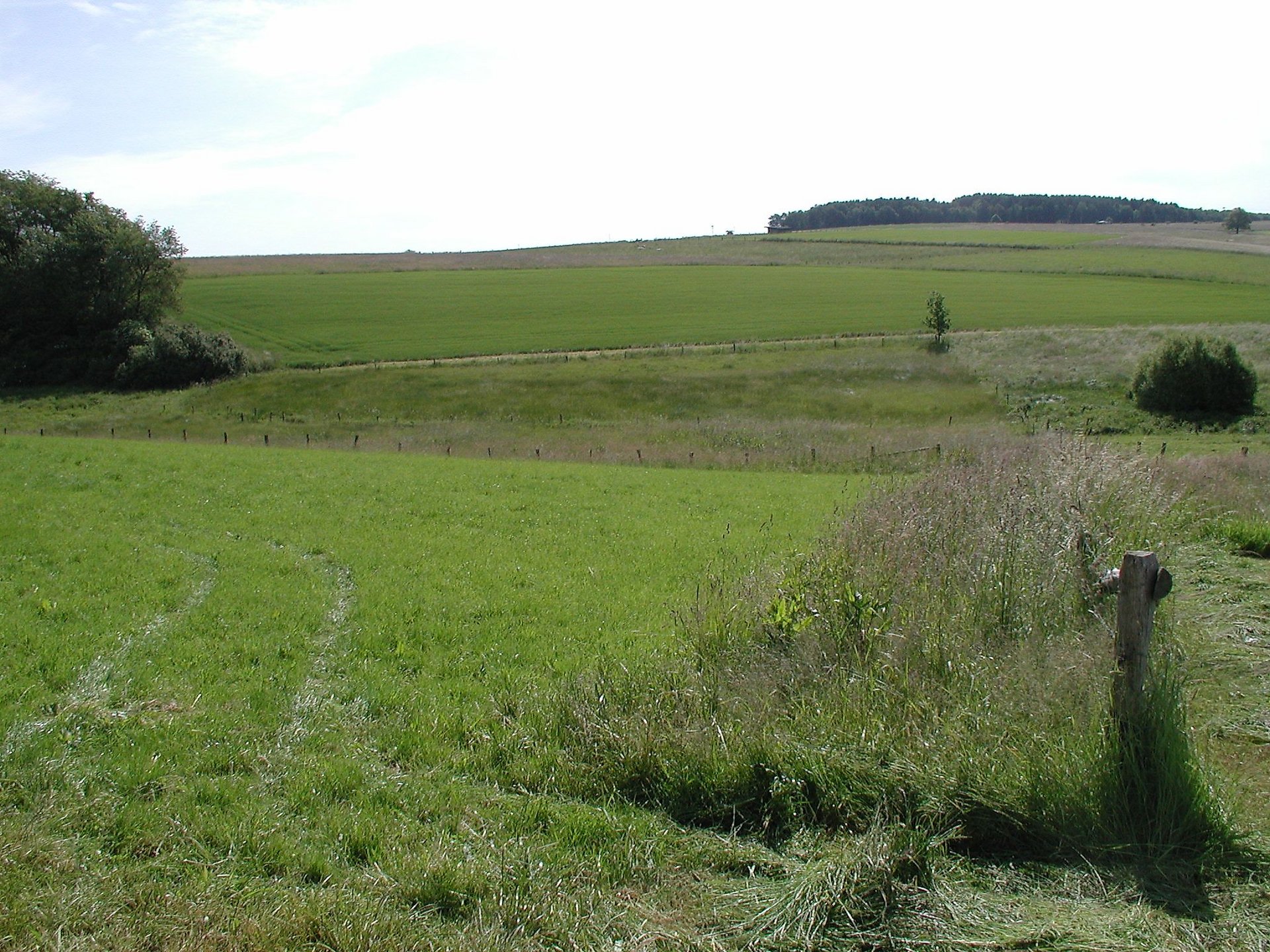 wertvolle Wiesenbiotope bei Volkerzen