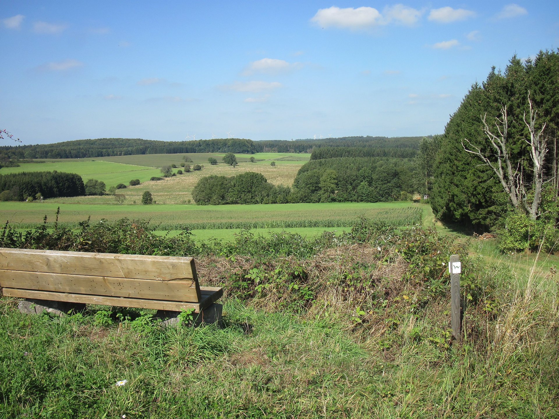 Ausblick vom Schwengersberg