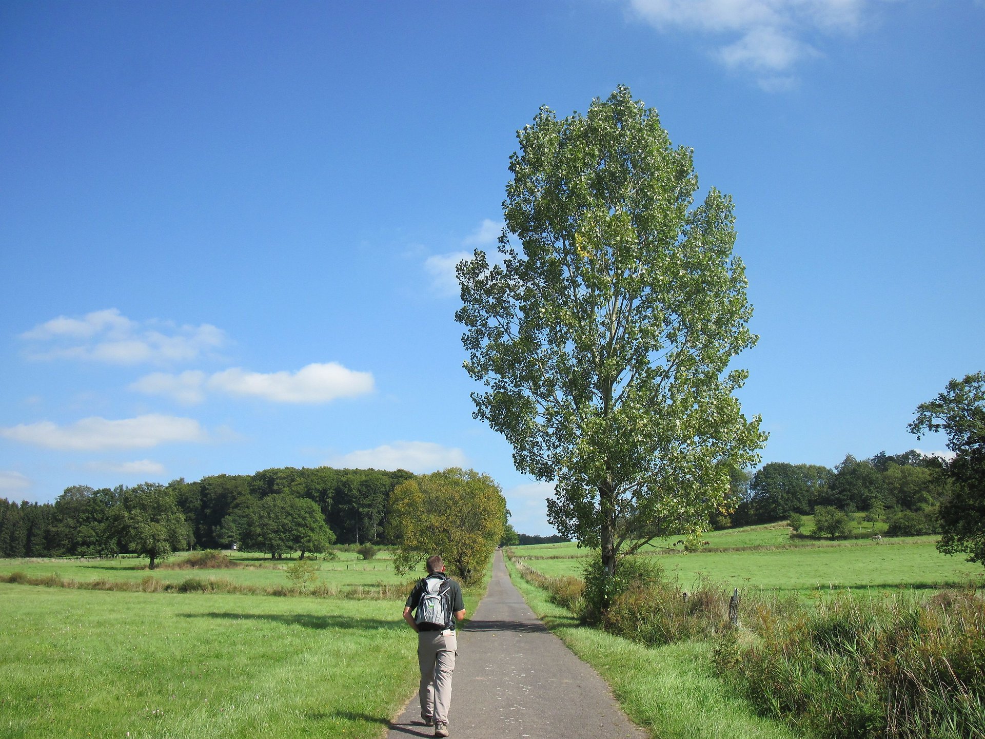 Wanderweg Höhe Wölferlingen