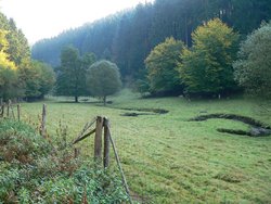 Grenzbachtal