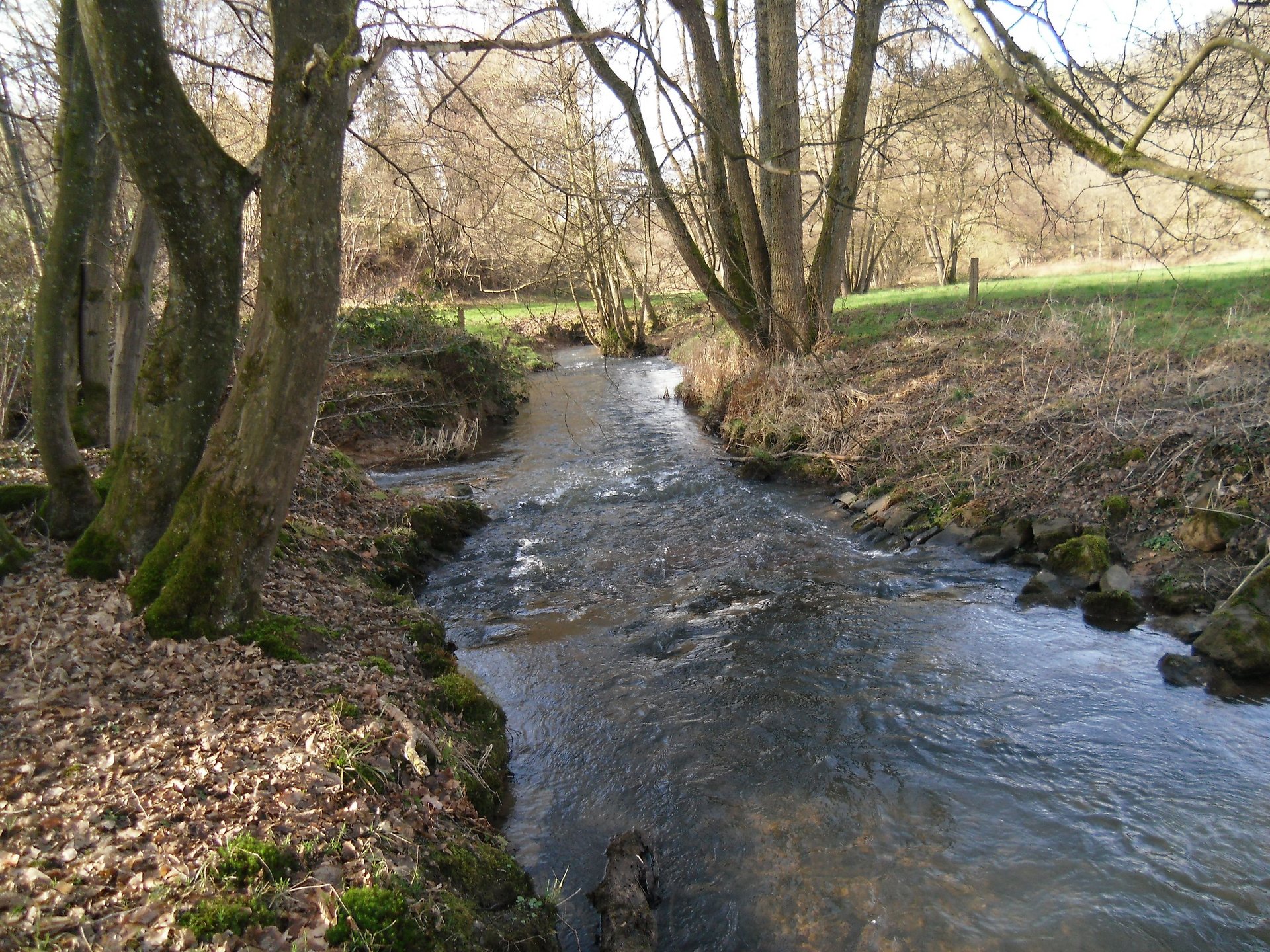 Natur pur im Ahlbachtal