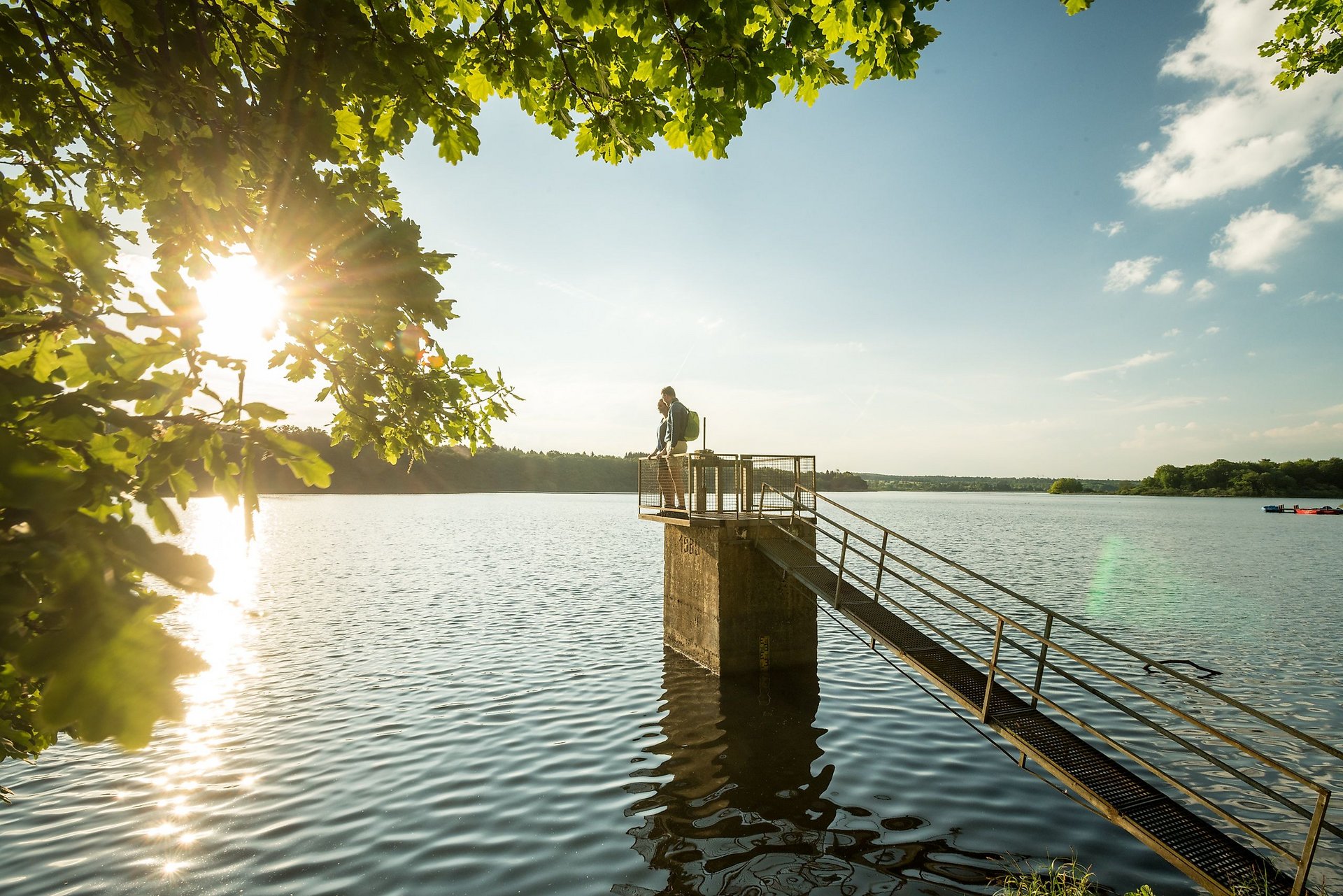 Am Dreifelder Weiher