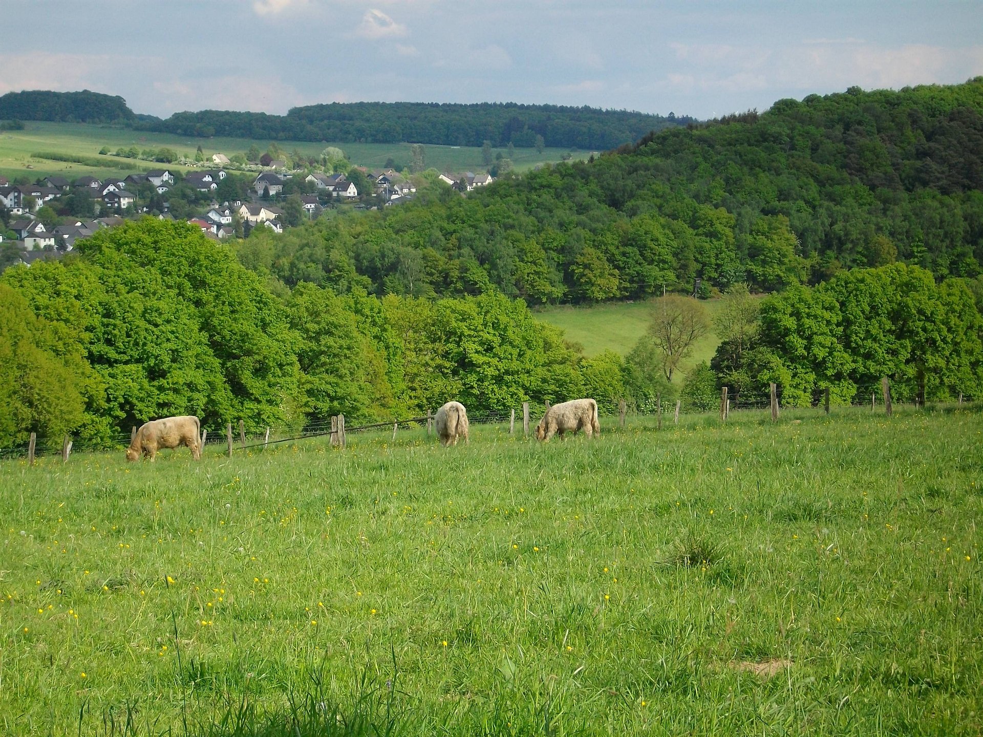 Landschaft bei Ingelbach