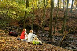 Rast an der Holzbachschlucht bei Seck