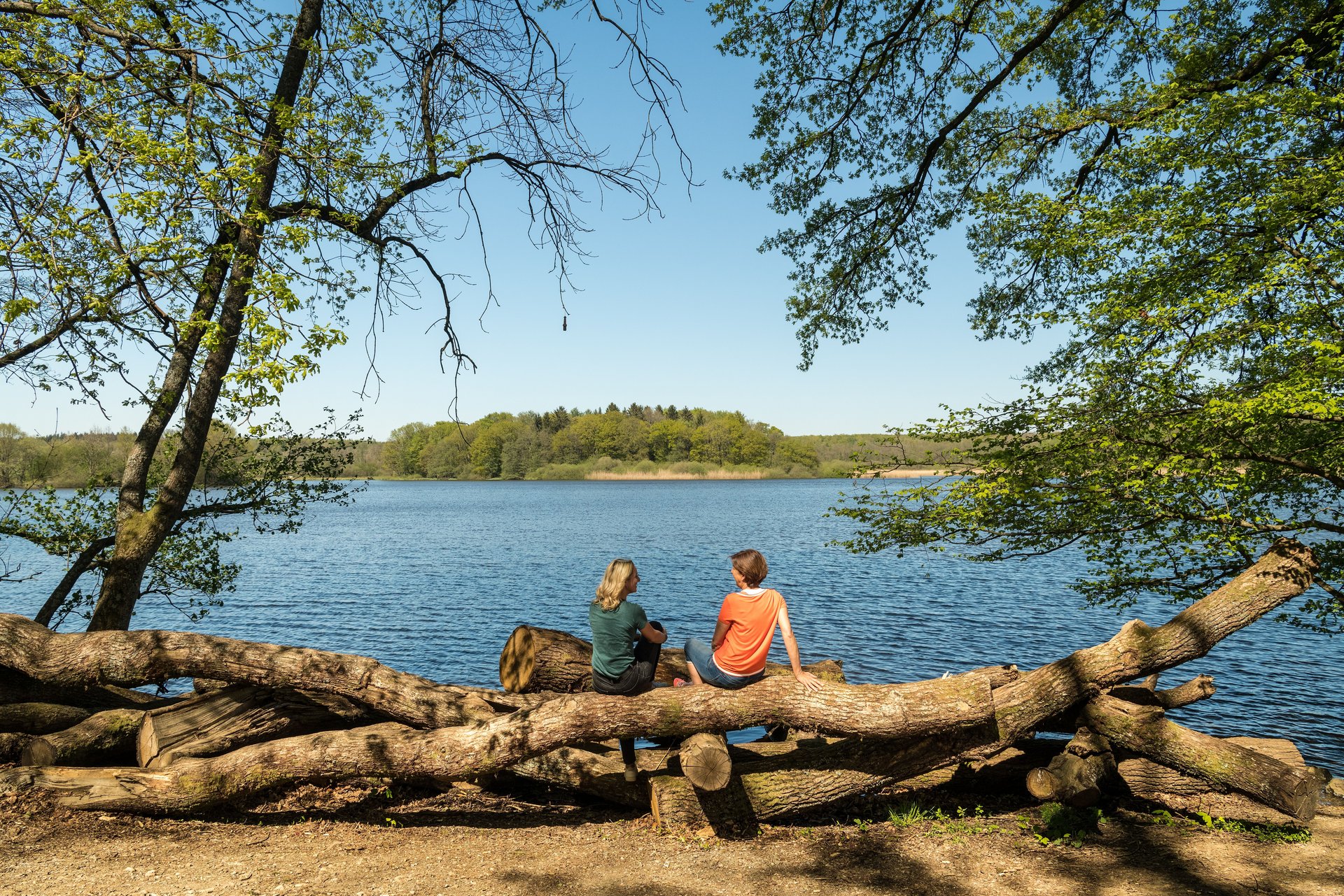 Blick auf den Brinkenweiher bei Steinen