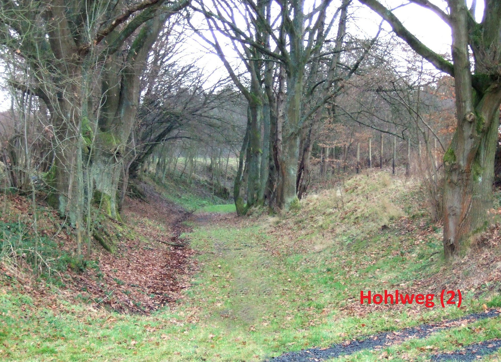 Hohlweg in Stürzelbach