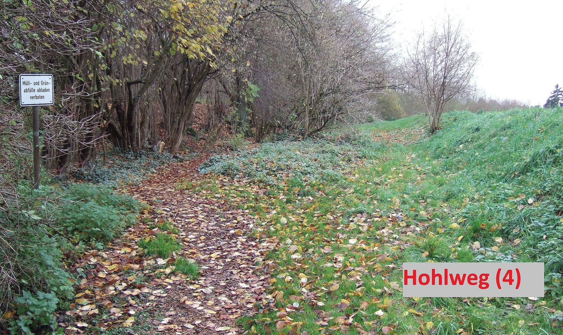 Hohlweg am Eichenweg in Fluterschen