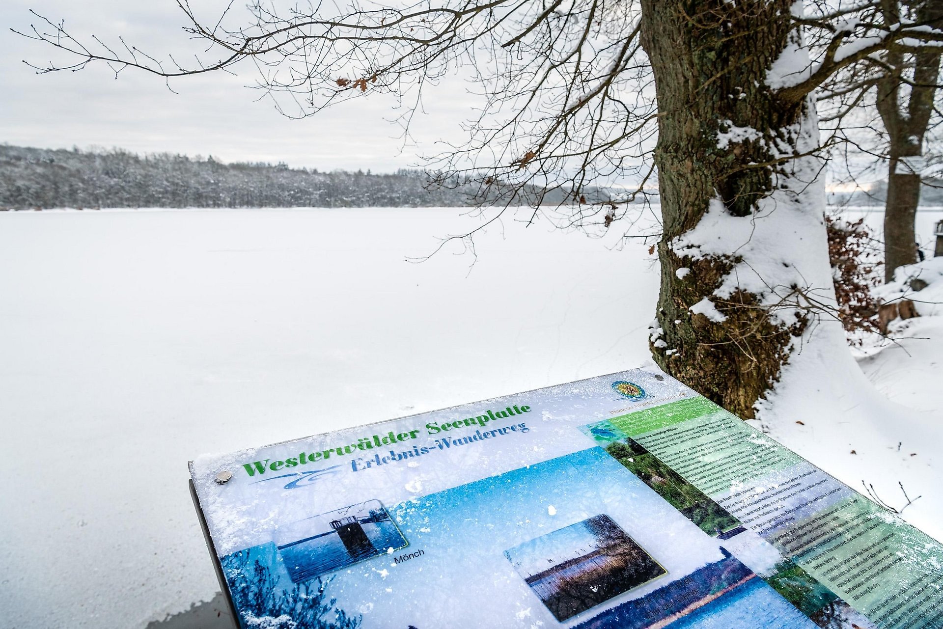 Infotafel am Dreifeler Weiher