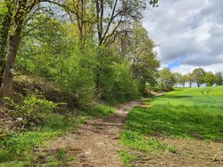 Wanderweg Obererbach