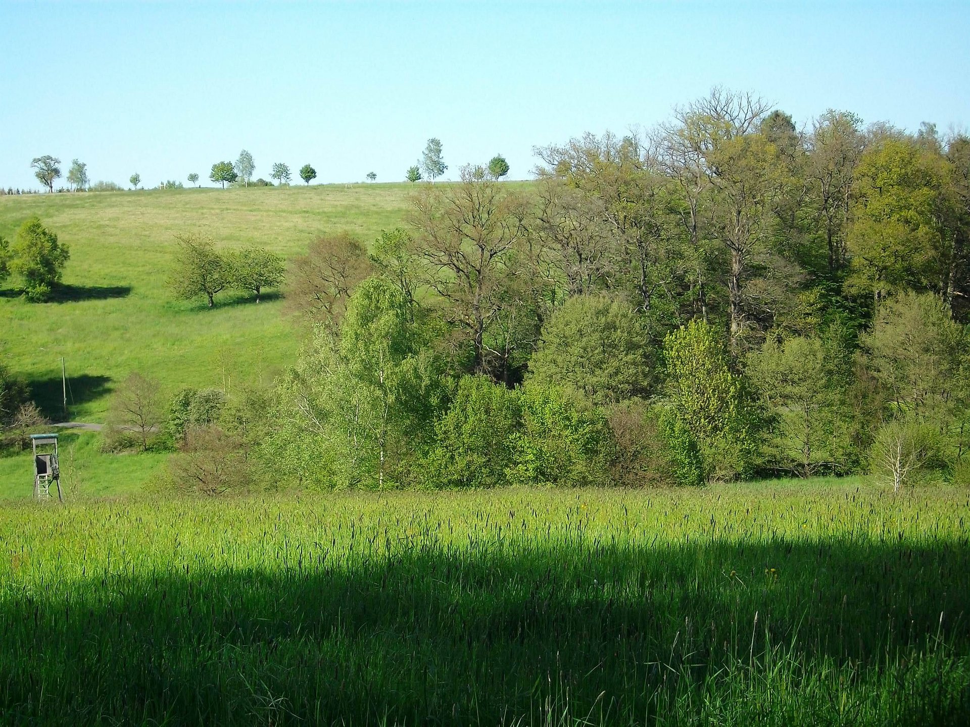 Almersbachtal bei Amteroth