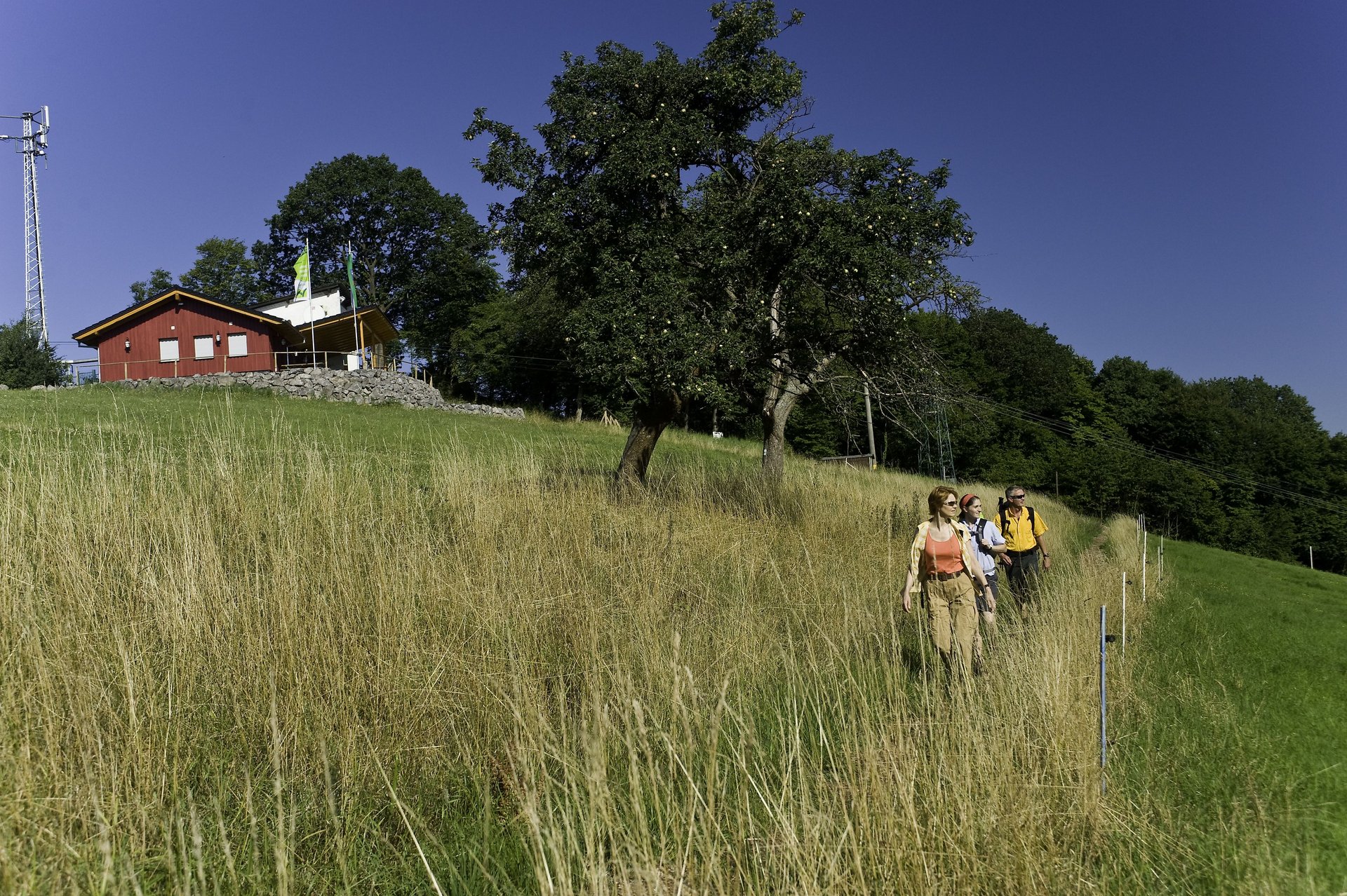 Malberg mit Malberg-Hütte