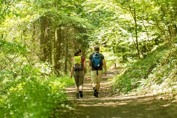 Idyllischer Waldweg Wäller Tour Eisenbachtal