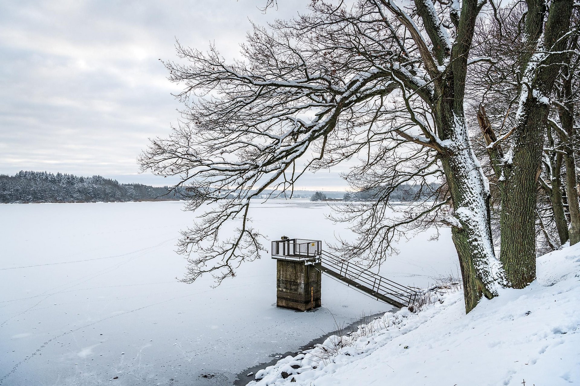 Winter am Dreifelder Weiher