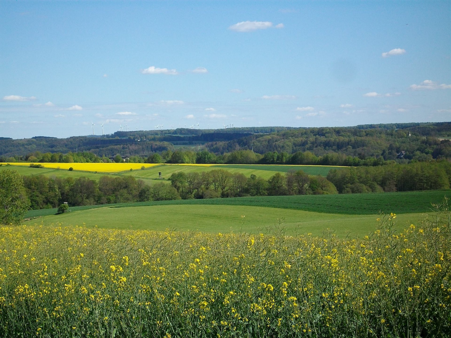 kleinhügelige Landschaft um Altenkirchen