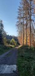 Wegstrecke Herbstlich NW Route 2