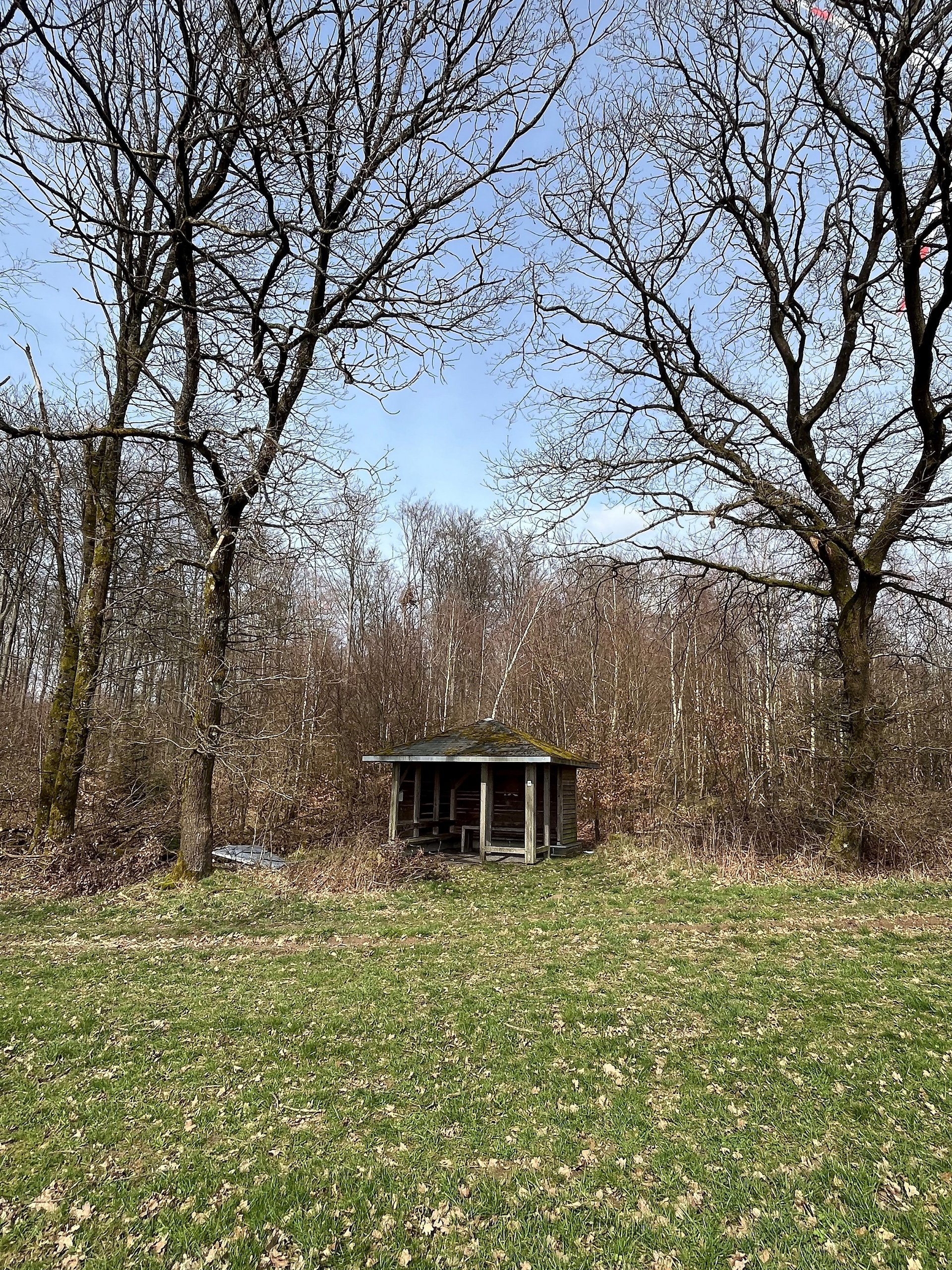 Schutzhütte am Westerwald-Steig mit wunderschönem Ausblick