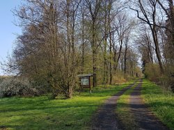 Kleiner Wäller Rund um Mabühl