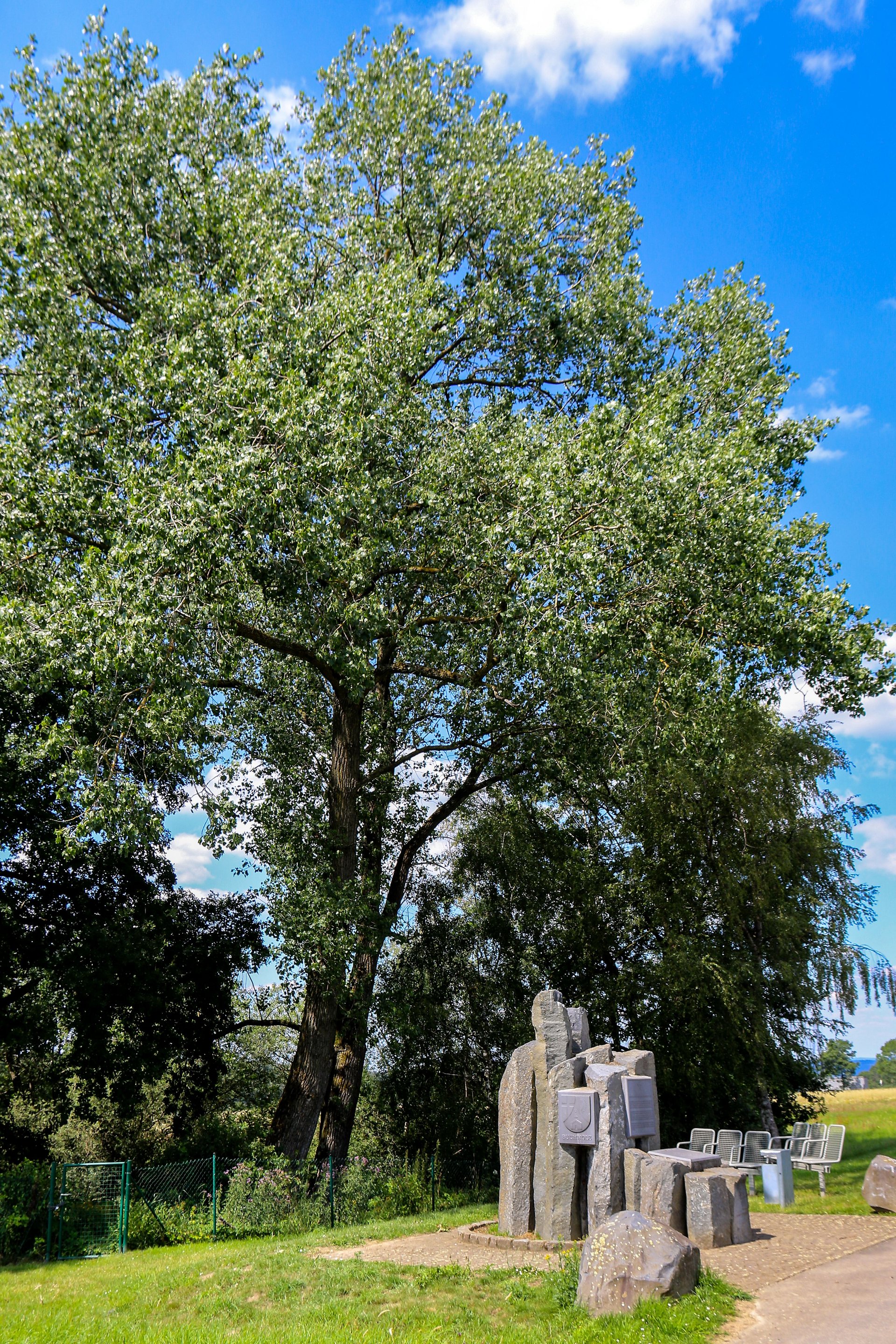 Denkmal Schlacht von Kircheib in Buchholz