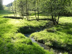 Selbach bei Selbach (Sieg)