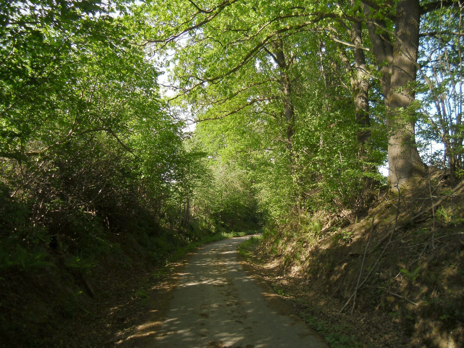 Fahrt durch den Hohlweg nach Neitersen