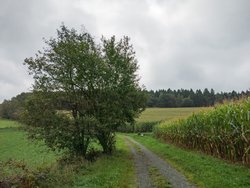 Idyllische Hügellandschaft