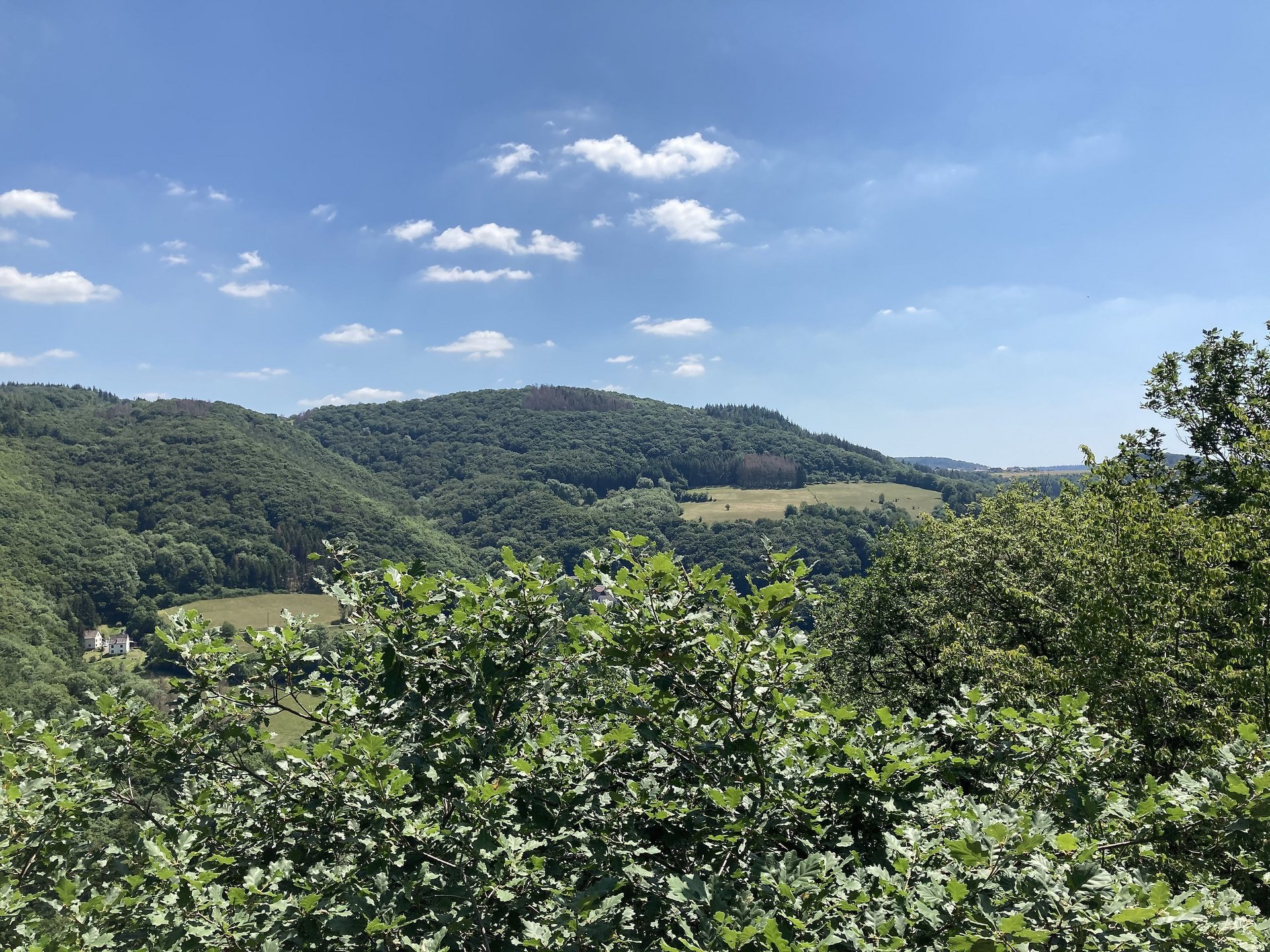 Weitblick vom Clausberg