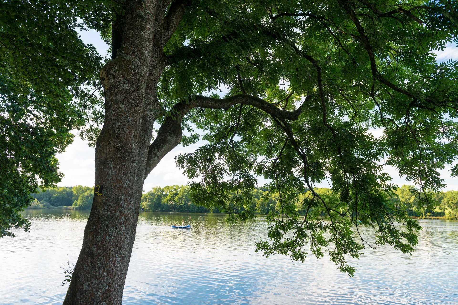 Secker Weiher