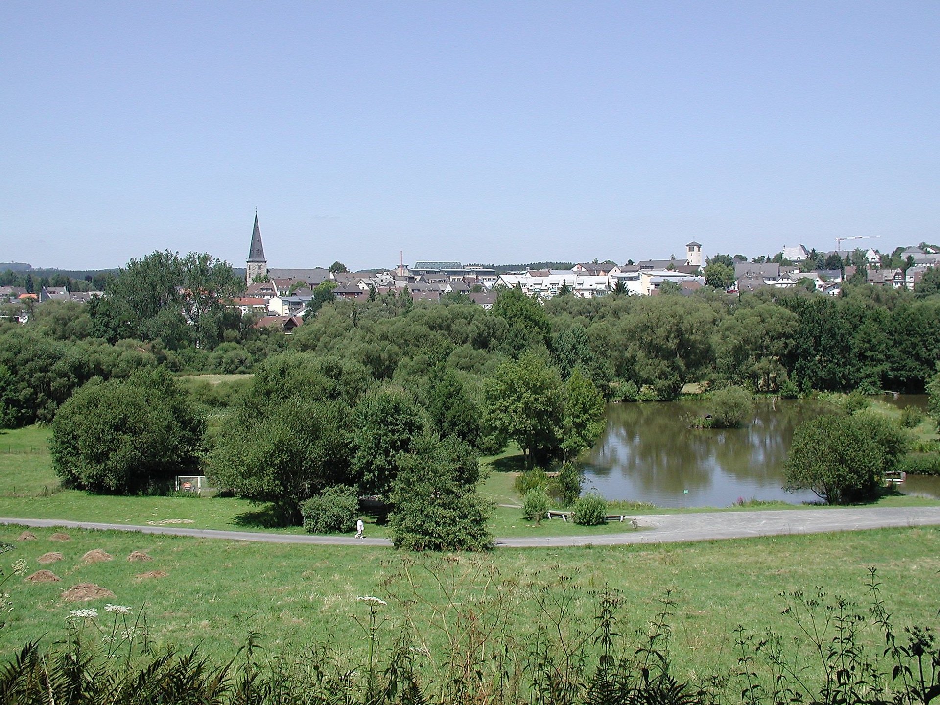 Wiesental von Altenkirchen