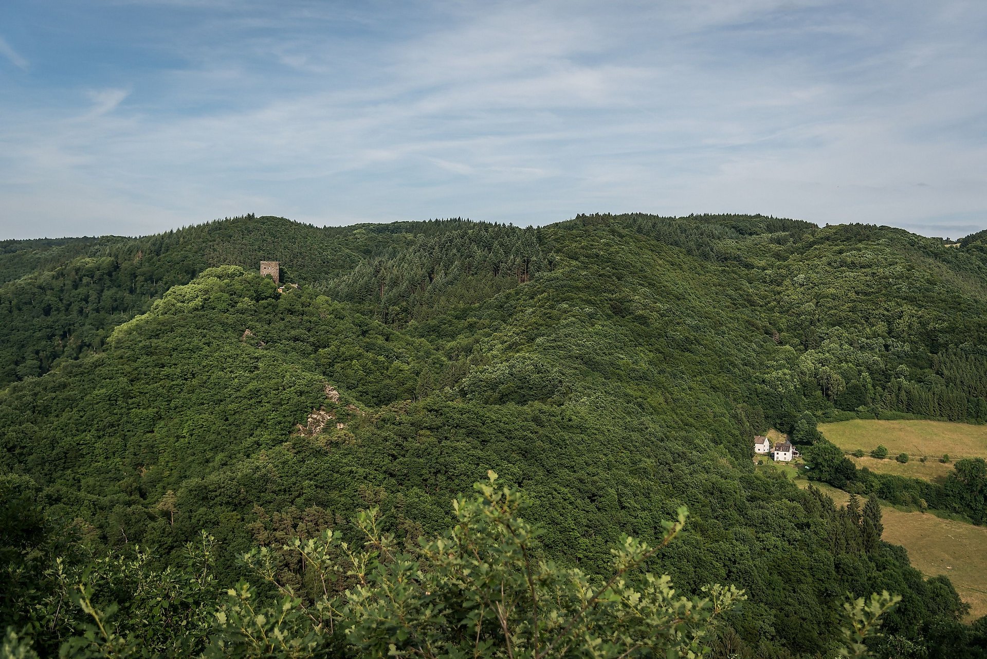 Ausblick auf die Burgruine Neuerburg