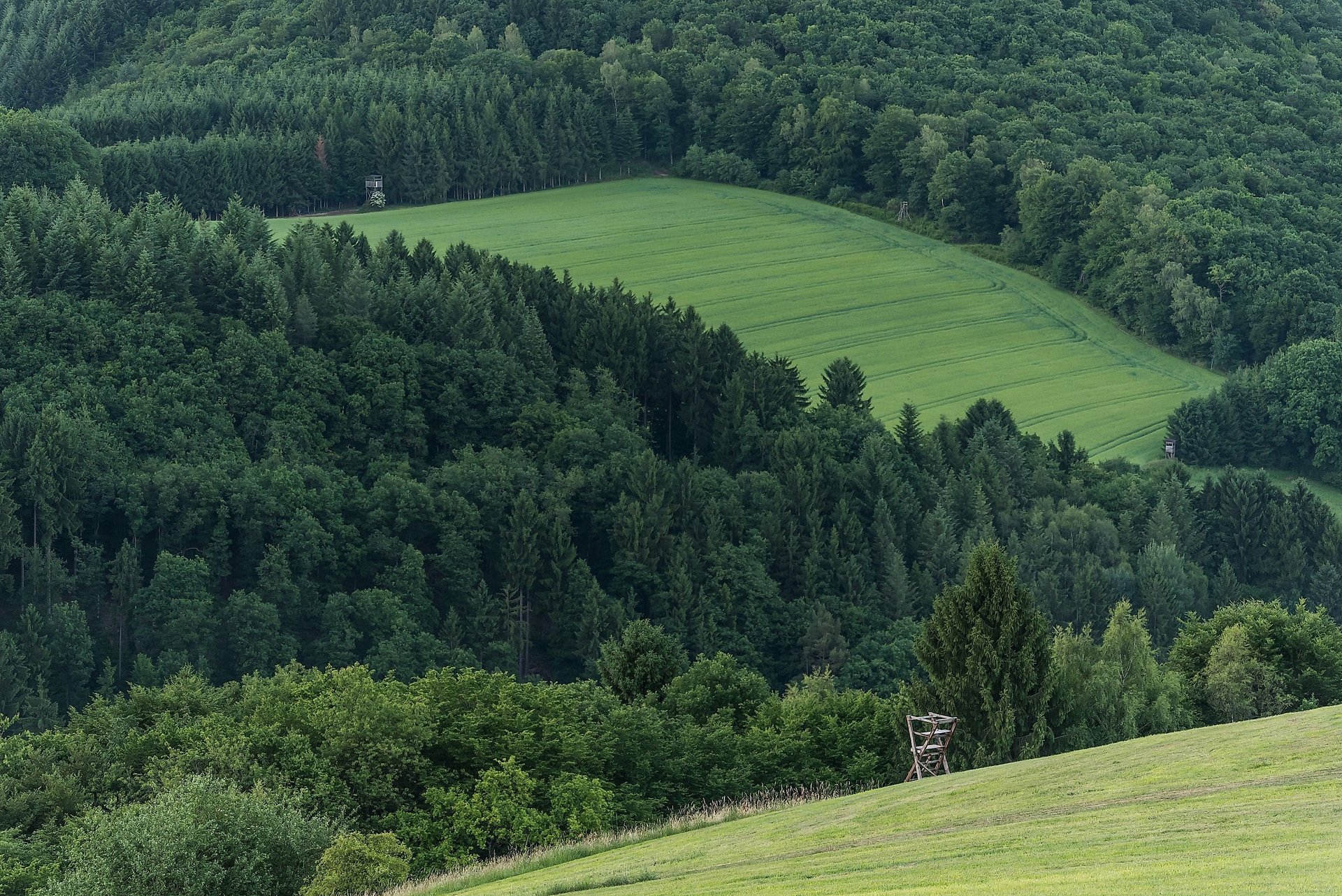 Sanfte Hügel rund um Breitscheid