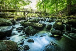 Holzbachschlucht