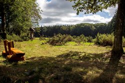 Wacholderheide auf der Marienberger Höhe