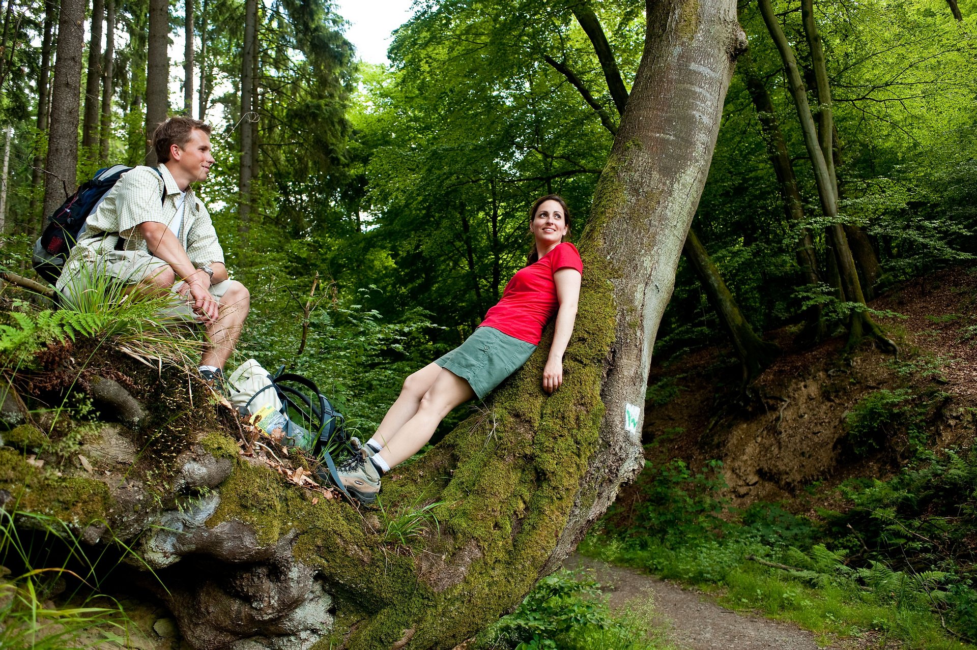 Wanderer im Hachenburger Westerwald