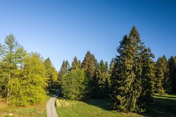 Ulmtalradweg am Knoten