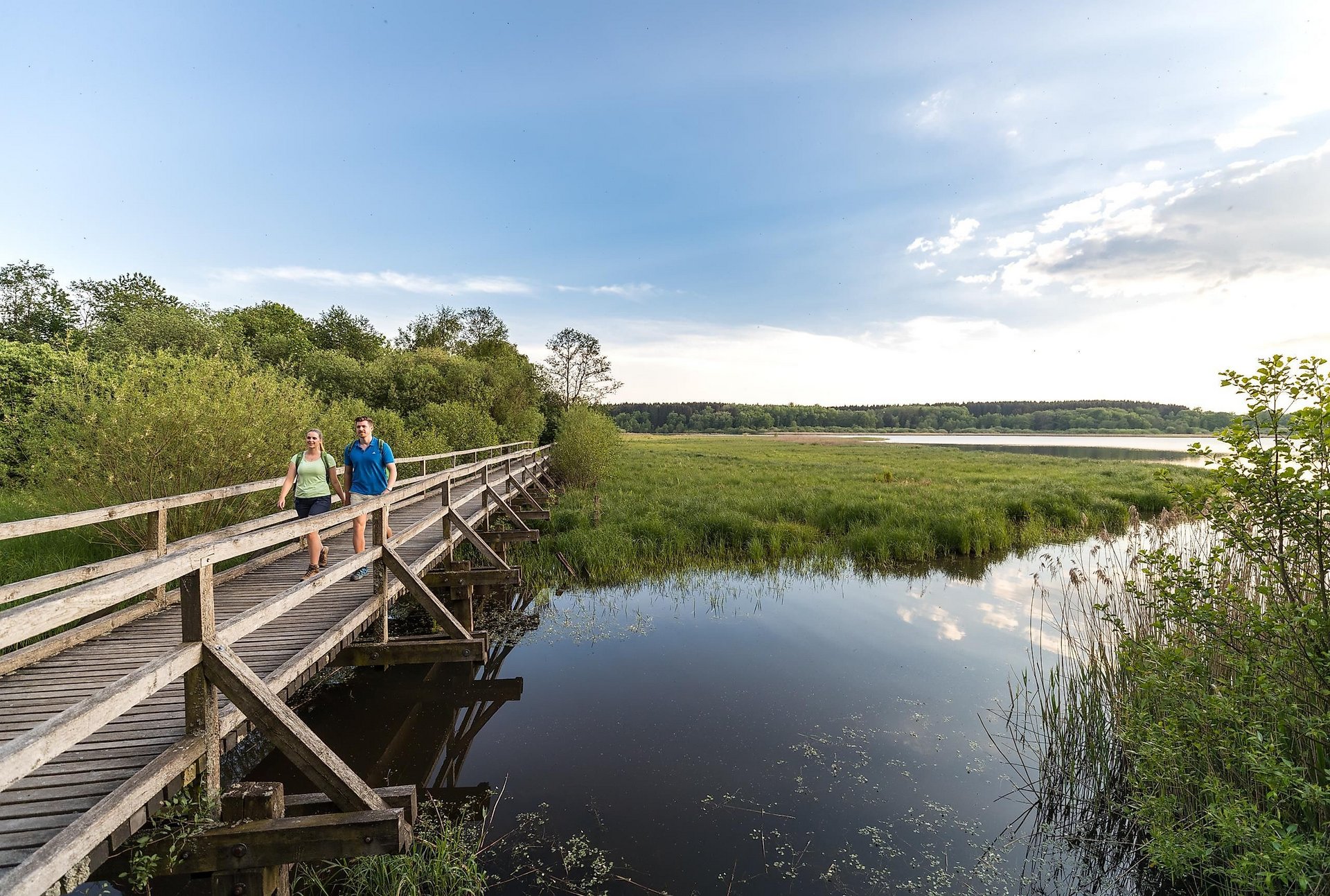 Brücke am Dreifelder Weiher