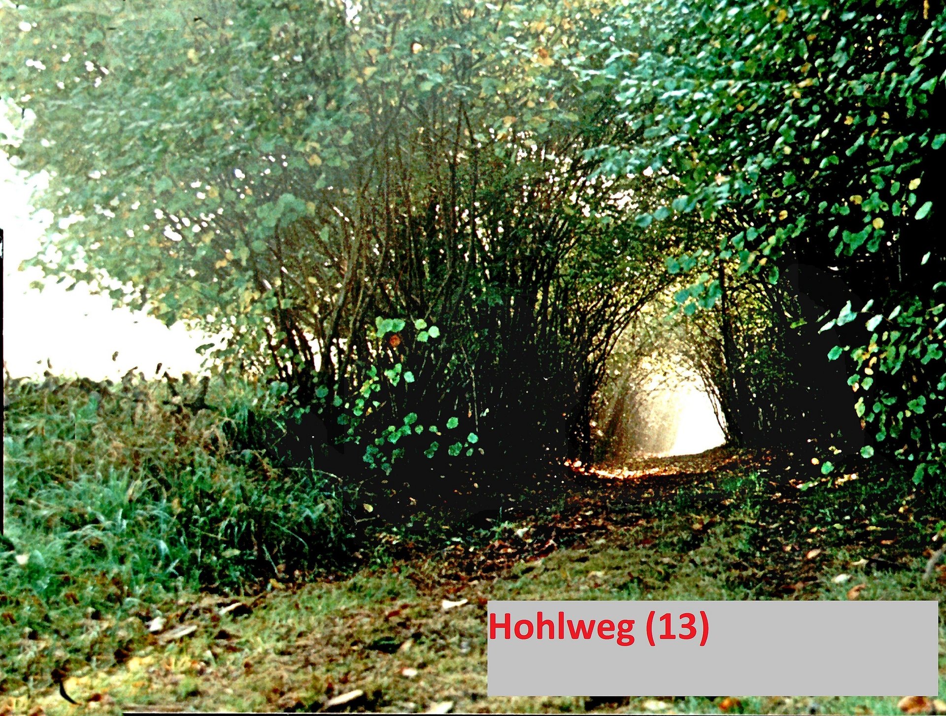 Hohlweg ins Almersbachtal