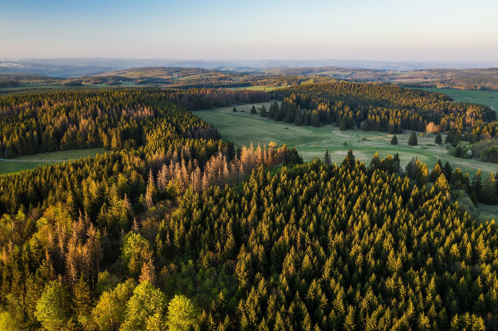 Ausblick Fuchskaute