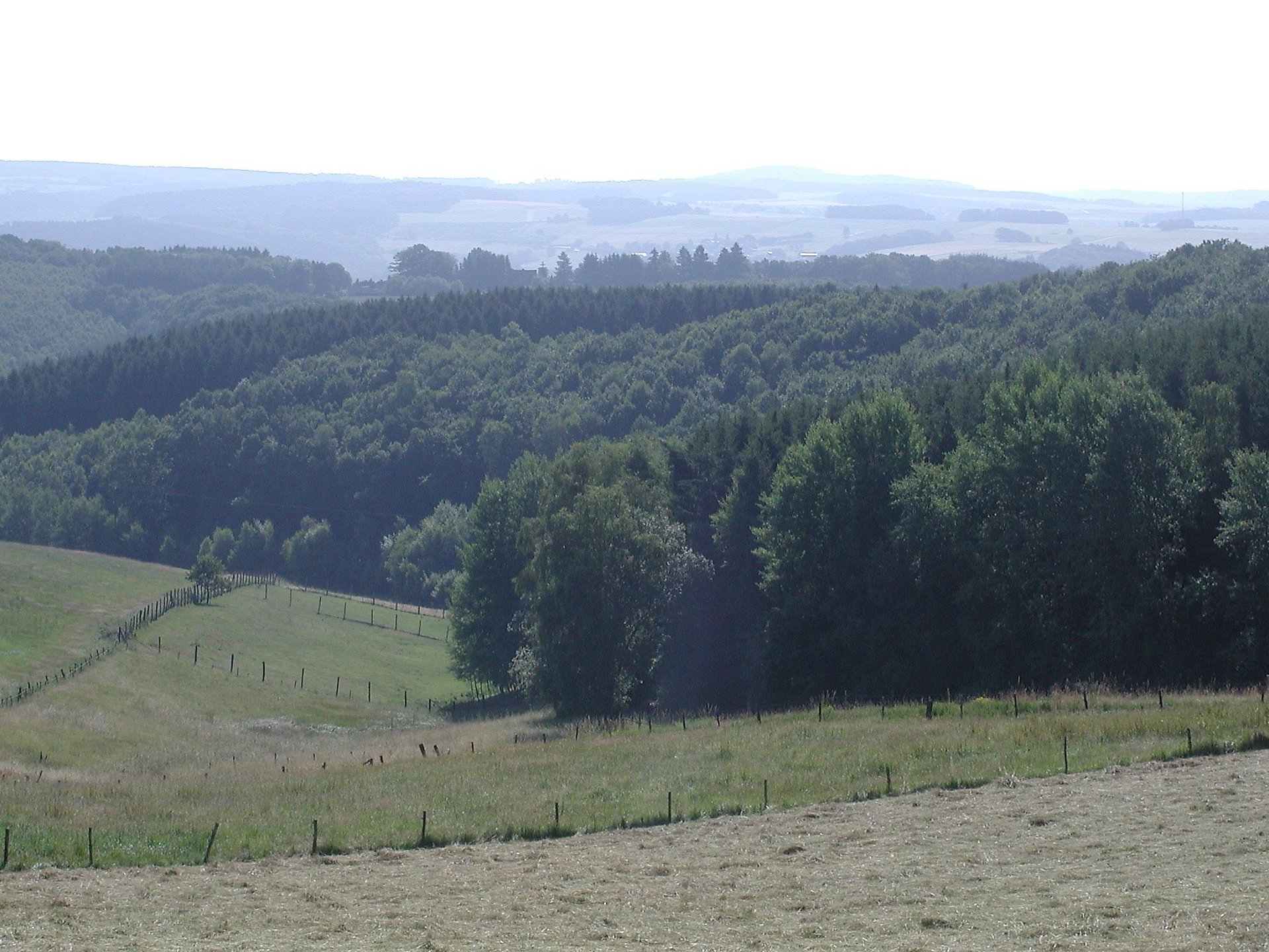 Blick von Racksen Richtung "Kroppacher Schweiz"