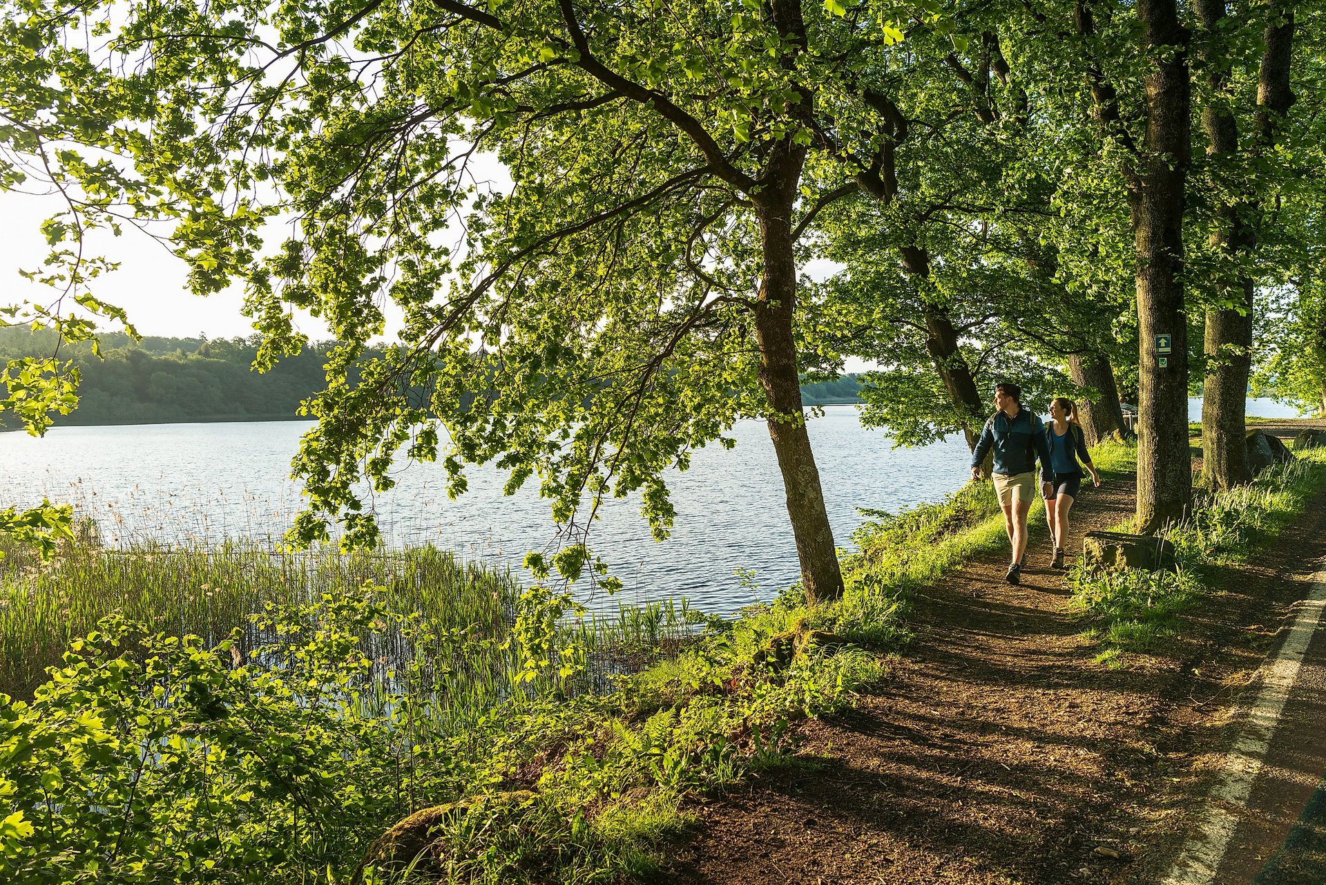 Dreifelder Weiher