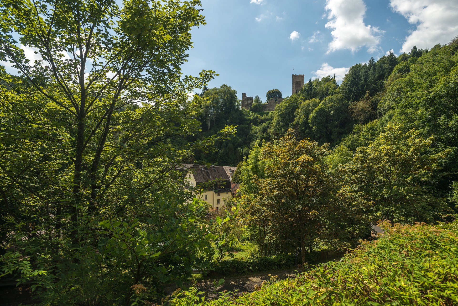 Burgruine Grenzau