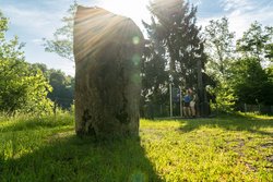 Basaltsäule