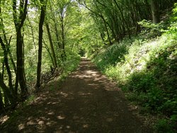 idyllische Wege, auch mit Kinderwagen befahrbar