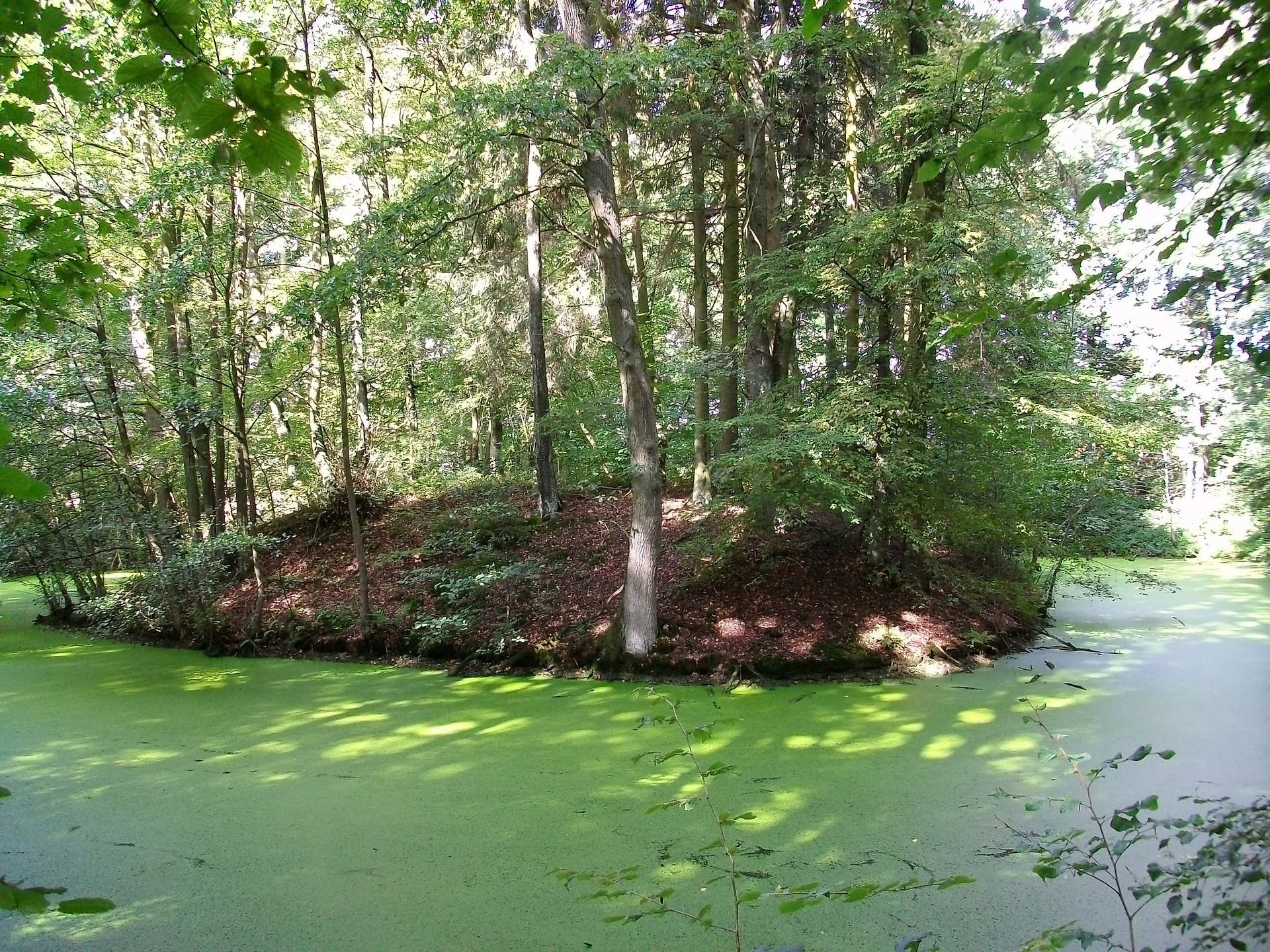 Motte Broichhausen